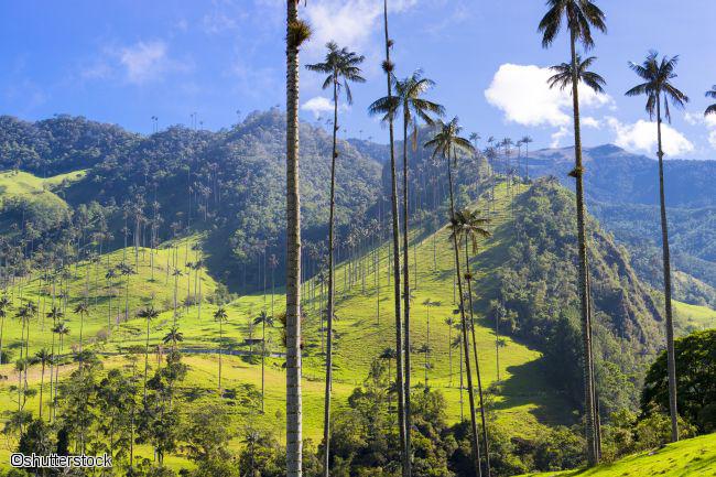 carte Carte Circuit Colombie 2018 : Terre de l'Eldorado